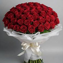 Букет 101 Красная роза Блэк Мэджик в Троицком