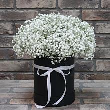 Цветочная композиция из Гипсофила в шляпной коробке #REPLACE_PRED# Троицком