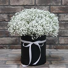 Цветочная композиция из Гипсофила в шляпной коробке в Троицком