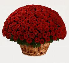 Премиум букет из: Розы в Троицком